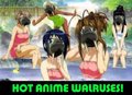 Walrus.jpg