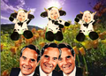 TheBDE copy.png